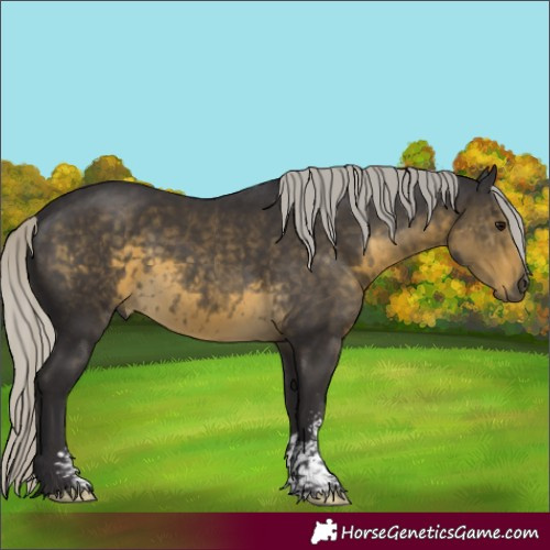 Horse Color:Silver Smoky Black Mushroom Sabino 