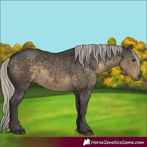 Horse Color:Silver Smoky Black Mushroom 