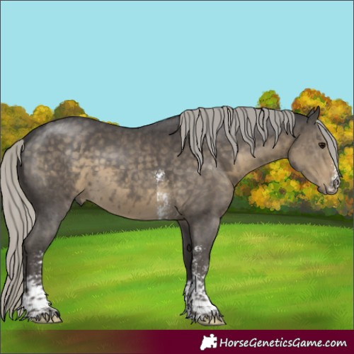 Horse Color:Silver Smoky Black Mushroom Sabino 