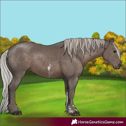 Horse Color:Silver Black Mushroom Sabino 