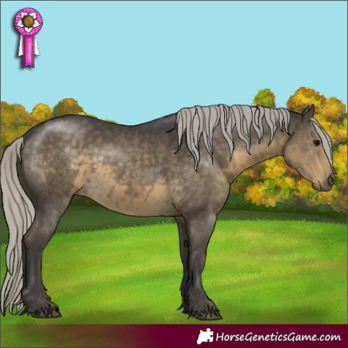 Horse Color:Silver Smoky Black Mushroom 