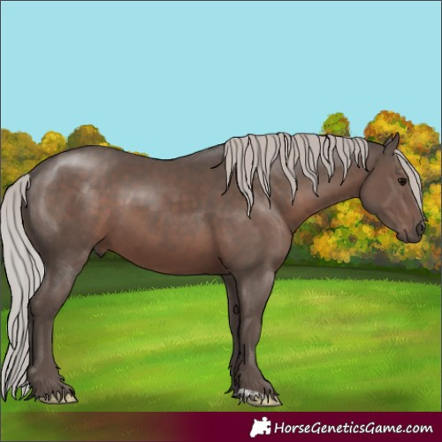 Horse Color:Silver Black Mushroom