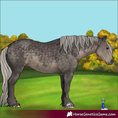 Horse Color:Silver Smoky Black Mushroom 