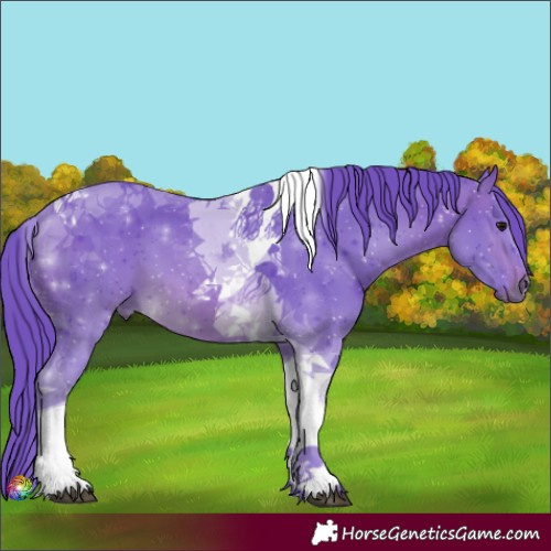 Horse Color:Watercolor Brown Tobiano