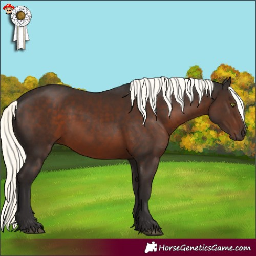 Horse Color:Liver Chestnut Mushroom 