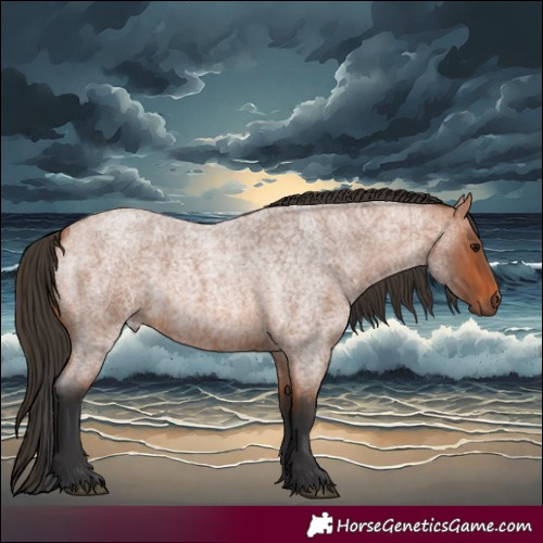 Horse Color:Bay Roan