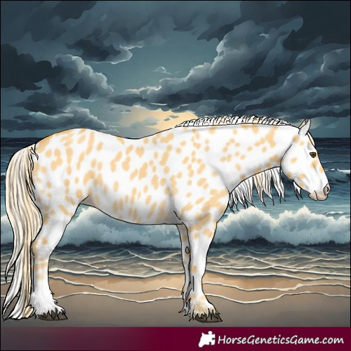 Horse Color:Palomino Dun Leopard 