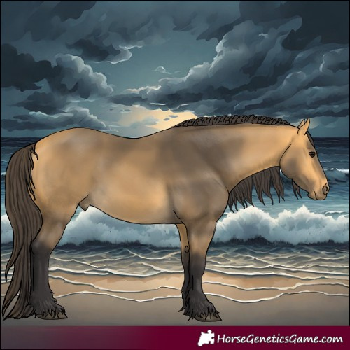 Horse Color:Buckskin 