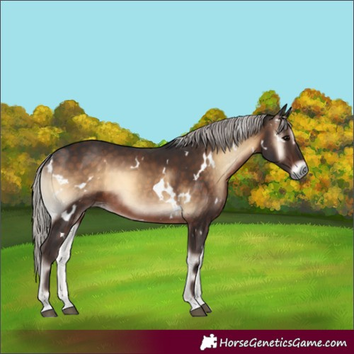 Horse Color:White Spotted Silver Brown Onyx 