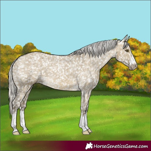 Horse Color:Silver Buckskin Dun Mushroom Skewed LP Spotted 