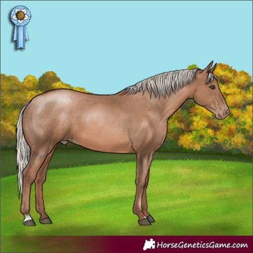 Horse Color:Silver Black Pearl 