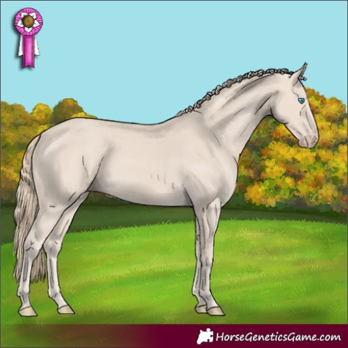 Horse Color:Smoky Creme 