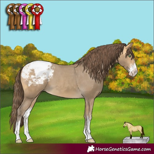 Horse Color:Sable Cream Champagne Sabino Varnish 