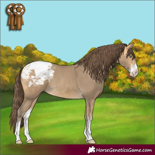 Horse Color:Sable Cream Champagne Sabino Appaloosa 
