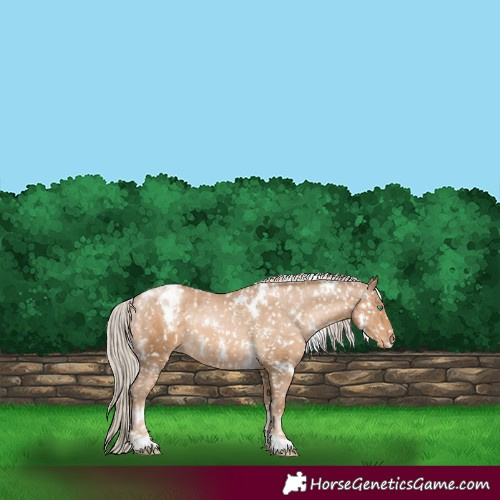 Horse Color:White Spotted Chocolate Palomino Pearl Snowflake Varnish 