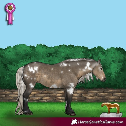 Horse Color:Gray White Spotted Silver Smoky Grullo 