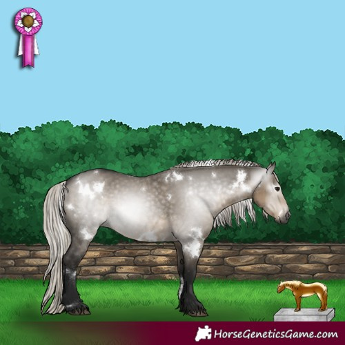 Horse Color:Gray White Spotted Silver Smoky Grullo 