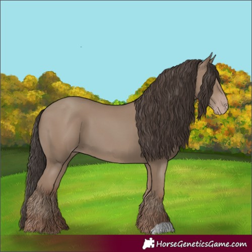 Horse Color:Classic Champagne 