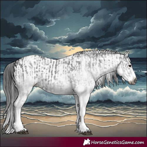 Horse Color:Gray White Spotted Black and Gray White Spotted Black Splash