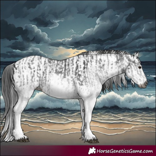 Horse Color:Gray White Spotted Black  and Gray White Spotted Black 