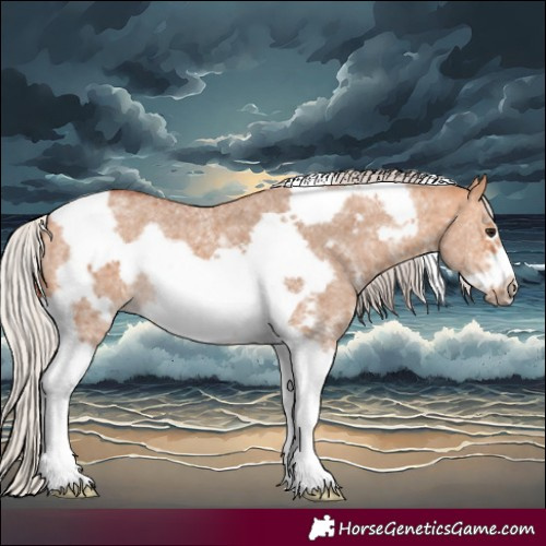 Horse Color:Silver Bay Dun Sabino Tobiano Frame Rabicano