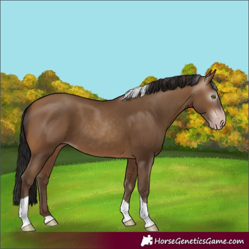 Horse Color:Gray Amber Champagne Tobiano 
