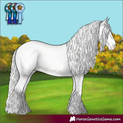 Horse Color:Cremello Dun Appaloosa 