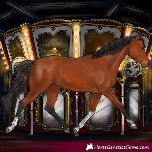 Horse Color:Bay Tobiano Rabicano 