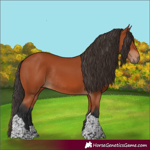 Horse Color:Bay Tobiano Rabicano 