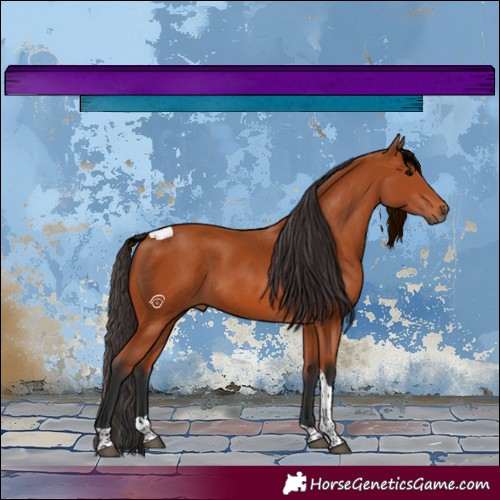 Horse Color:Bay Tobiano Rabicano 