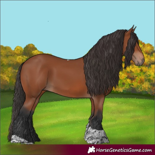 Horse Color:Bay Tobiano Rabicano