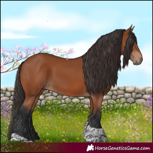 Horse Color:Bay Tobiano Rabicano 