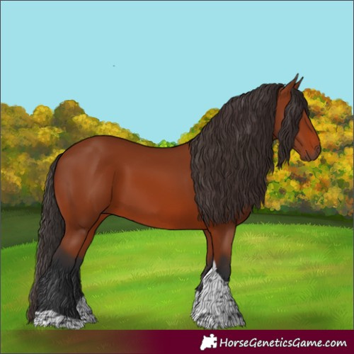 Horse Color:Bay Tobiano Rabicano 