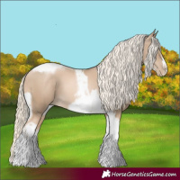 Horse Color:Chocolate Palomino Pearl Tobiano Frame  and Chocolate Palomino Pearl Tobiano Frame 