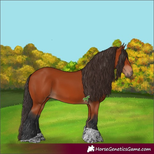 Horse Color:Bay Tobiano Rabicano