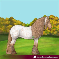 Horse Color:Red Roan Blanket 