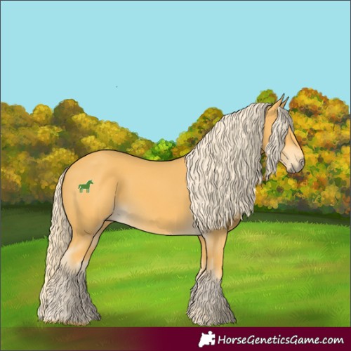 Horse Color:Palomino 
