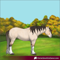 Horse Color:Bay Roan Dun Splash 