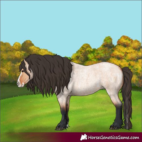 Horse Color:Bay Roan Dun Splash