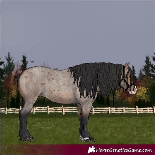 Horse Color:Brown Roan Dun Splash 