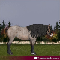 Horse Color:Brown Roan Dun Splash 