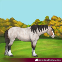 Horse Color:Bay Roan Dun Splash