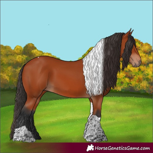 Horse Color:Bay Tobiano Rabicano 