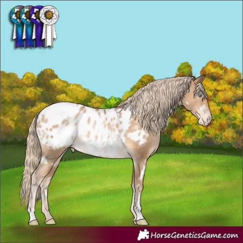 Horse Color:White Spotted Chocolate Palomino Pearl Appaloosa Rabicano 