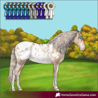Horse Color:White Spotted Chocolate Palomino Pearl Appaloosa Rabicano 