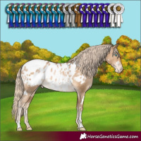 Horse Color:White Spotted Chocolate Palomino Pearl Blanket Rabicano 