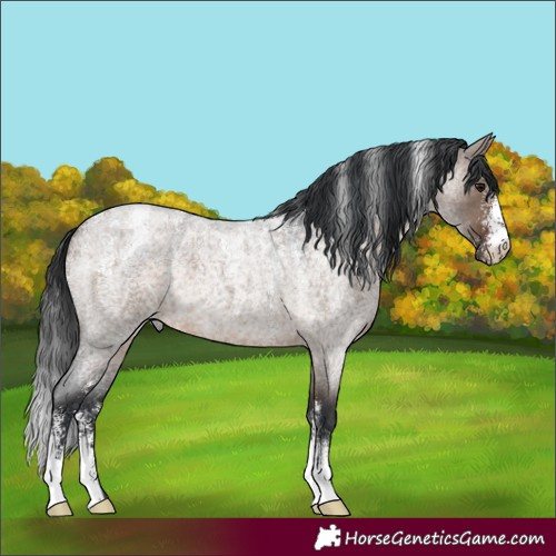 Horse Color:Powder White Brown Roan Dun