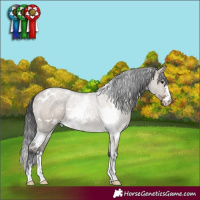 Horse Color:White Spotted Brown Dun Rabicano