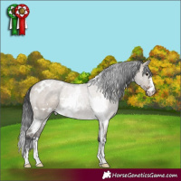 Horse Color:White Spotted Brown Dun Rabicano 