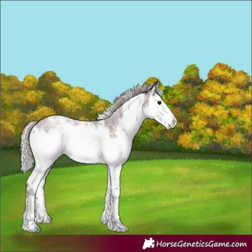 Horse Color:White Spotted Chocolate Silver Brown Roan Splash 